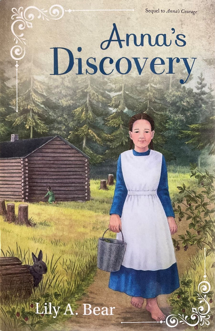 Front cover of Anna's Discovery by Lily A. Bear.