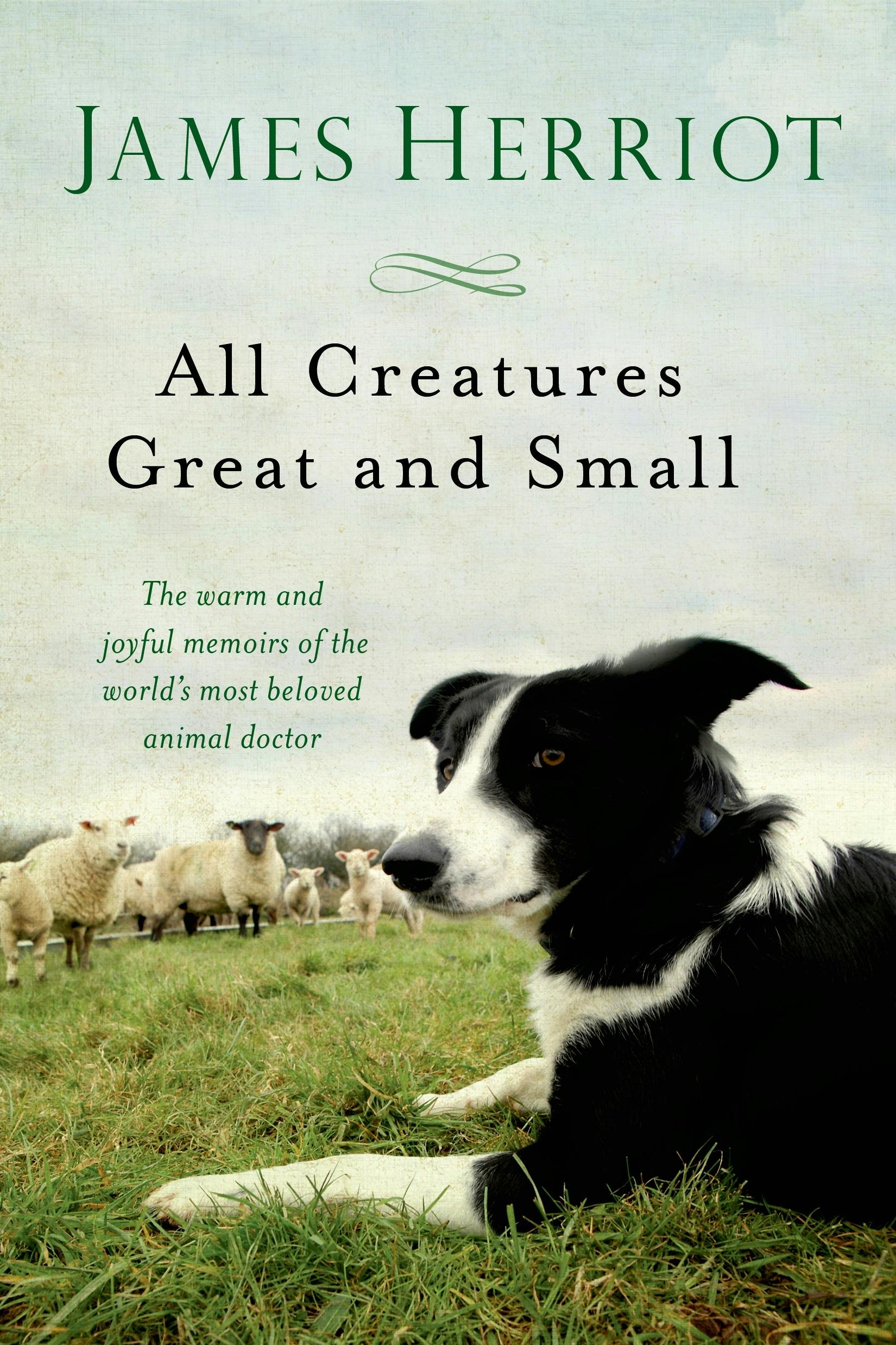 Front cover of All Creatures Great and Small by James Herriot.