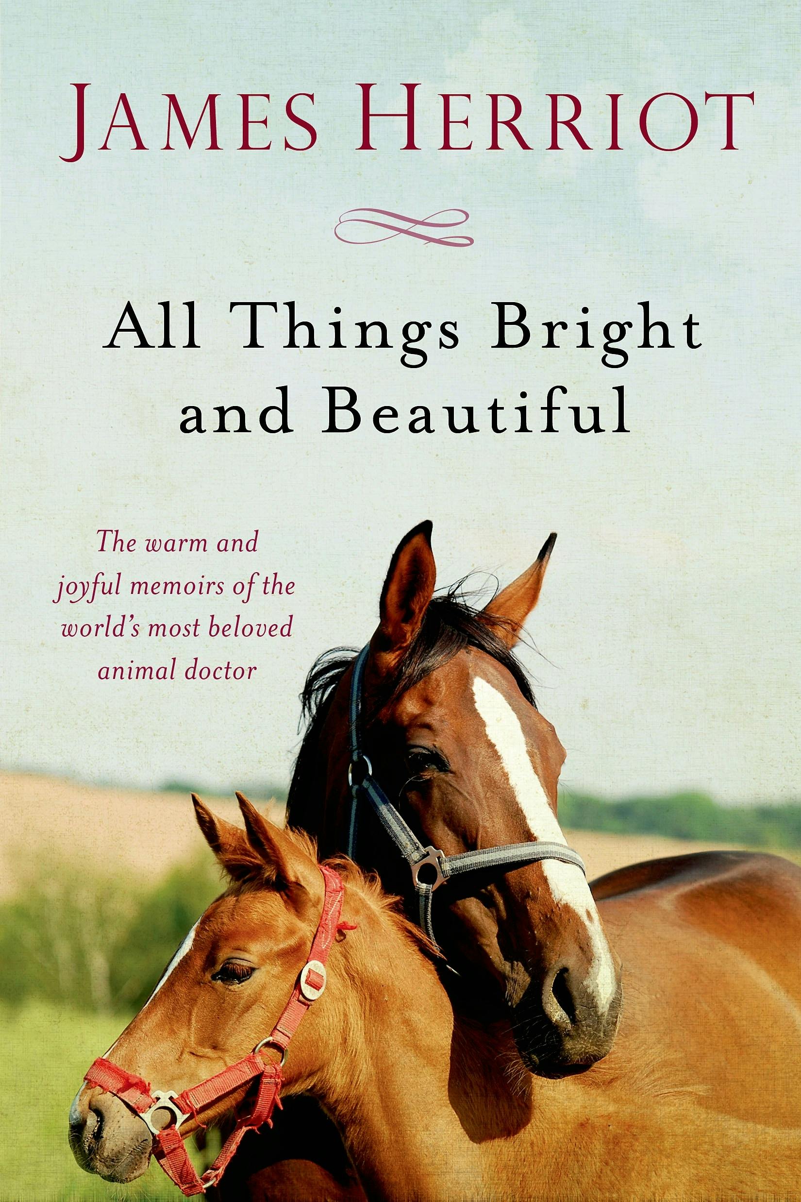 Front cover of All Things Bright and Beautiful by James Herriot.