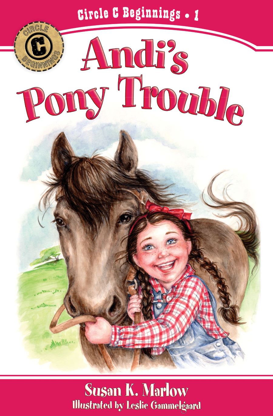 Front cover of Andi's Pony Trouble by Susan K. Marlow.