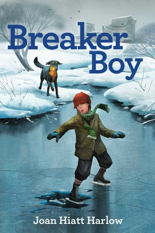 Front cover of Breaker Boy by Joan Hiatt Harlow.