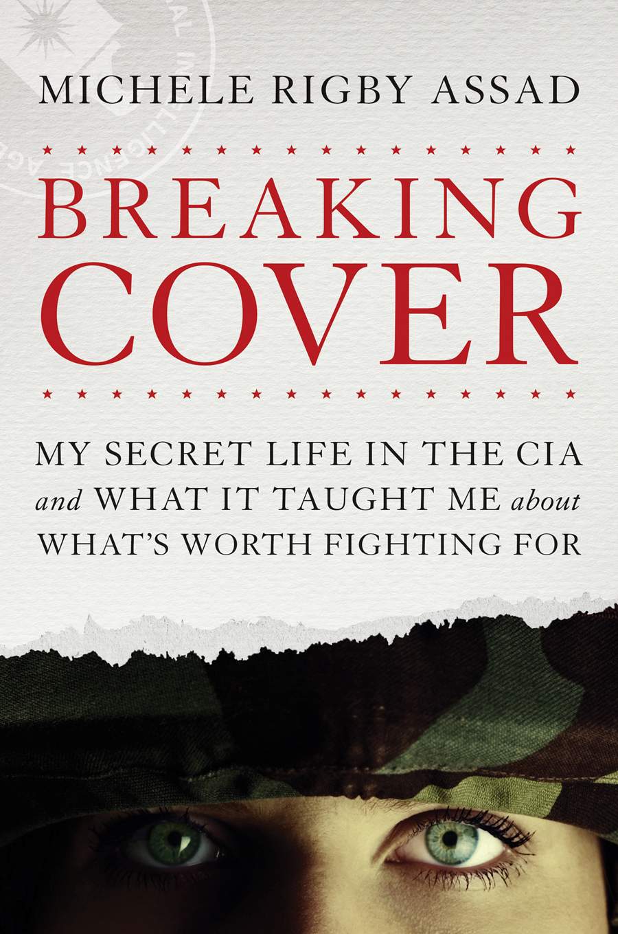 Front cover of Breaking Cover by Michele Rigby Assad