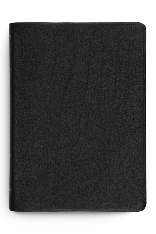 Image of ESV Study Bible, Genuine Leather, Indexed.