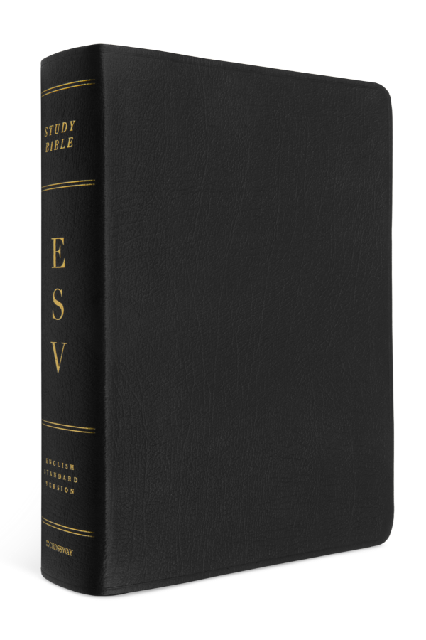 Image of ESV Study Bible, Genuine Leather, Indexed.