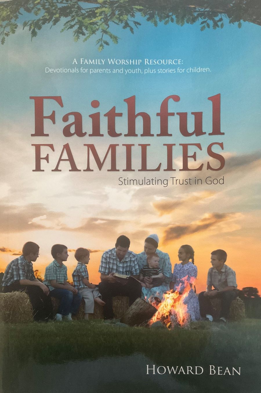 Front cover of Faithful Families: Stimulating Trust in God by Howard Bean.