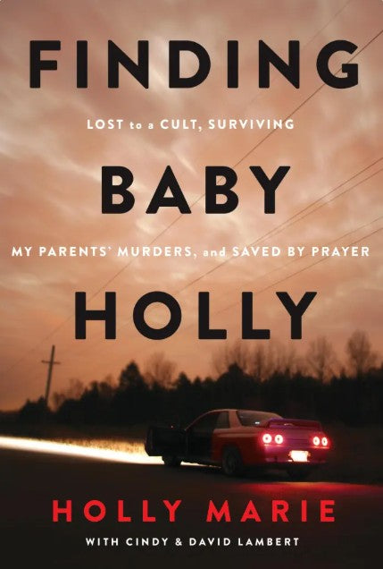 Book cover of 'Finding Baby Holly' with a car on a road at sunset.
