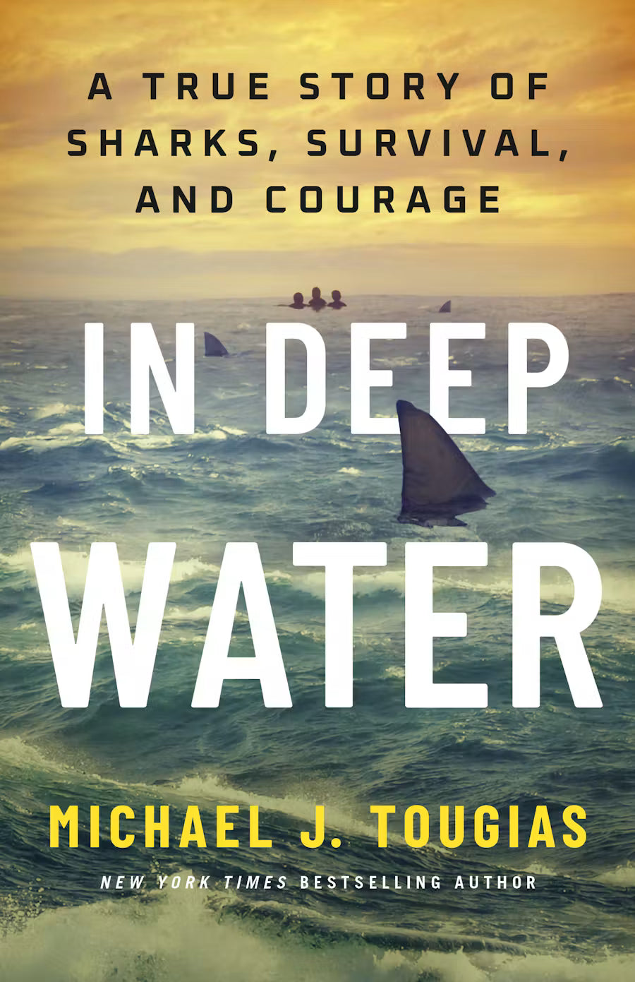 Front cover of In Deep Water by Michael J. Tougias.