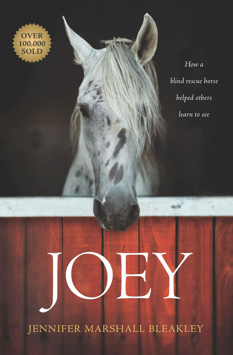 Front cover of Joey by Jennifer Marshall Bleakley.