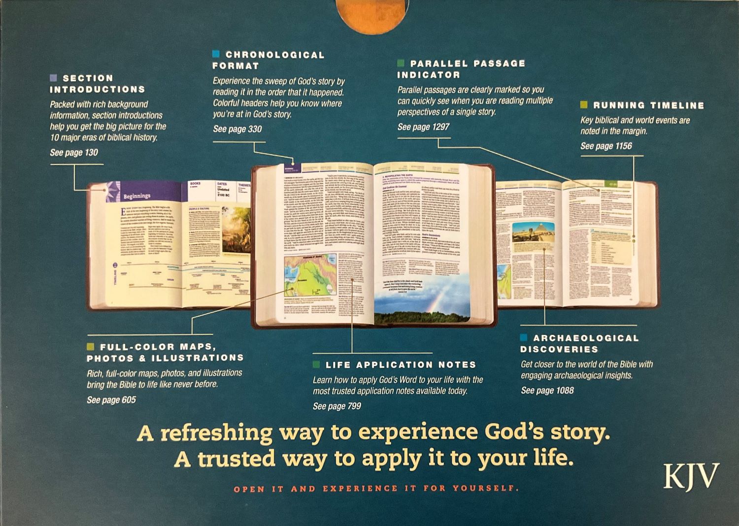 KJV Chronological Life Application Study Bible, Hardcover – Golden