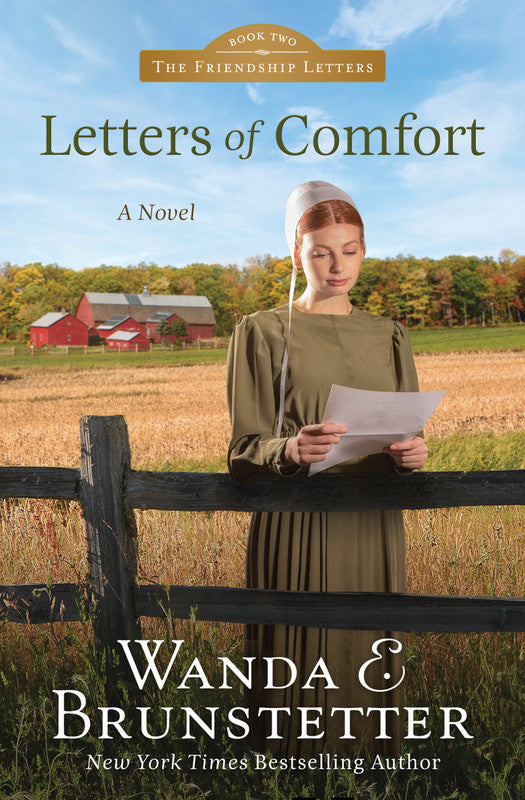 Front cover of Letters of Comfort by Wanda E. Brunstetter.