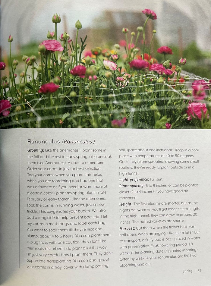 Garden scene with flowers and text about Ranunculus plants