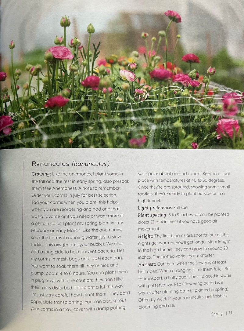Garden scene with flowers and text about Ranunculus plants