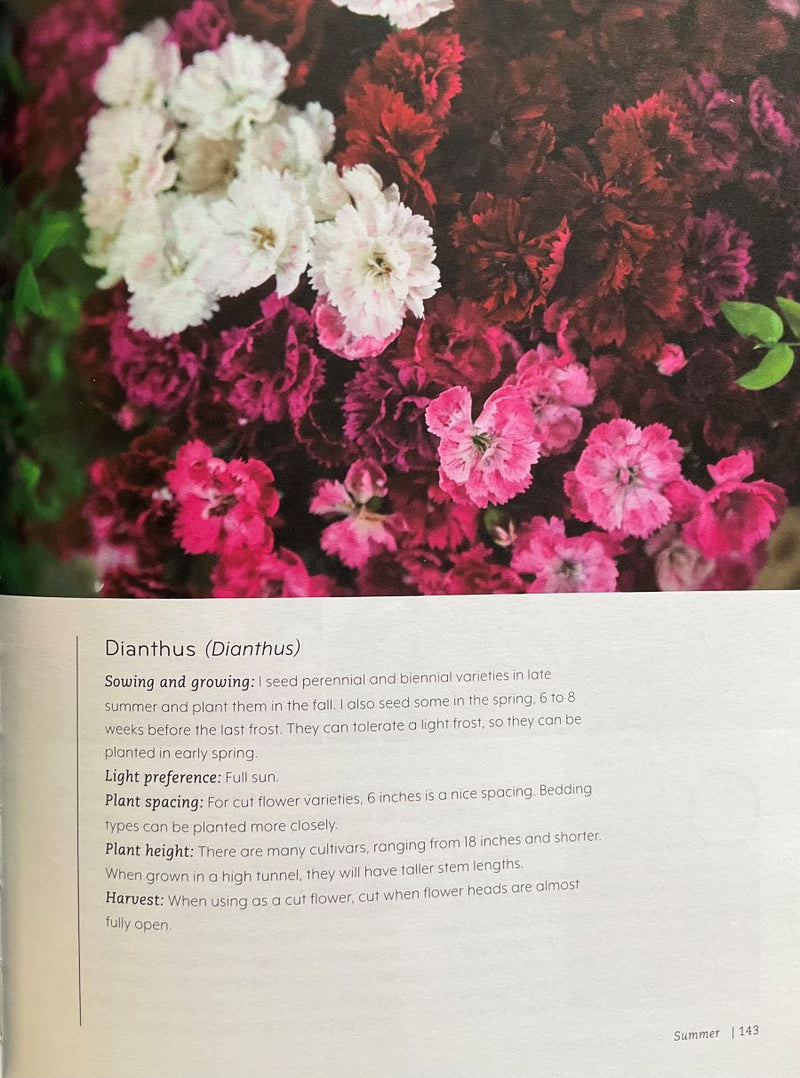 Colorful flowers with text about Dianthus on a white background