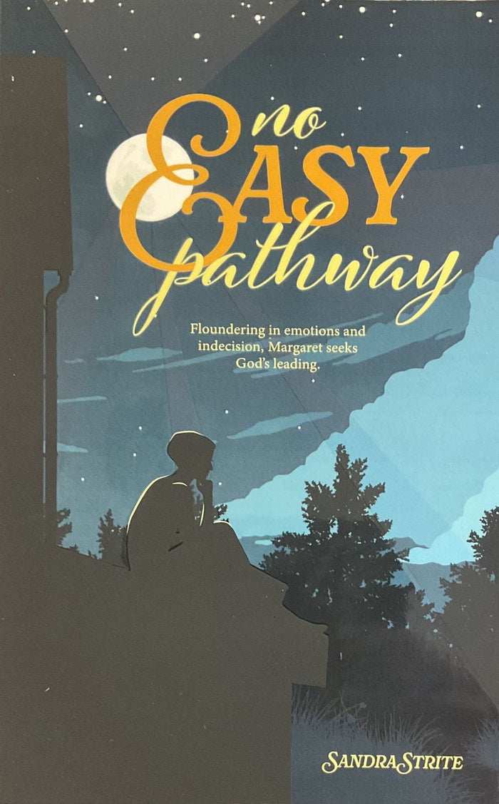 Book cover for 'No Easy Pathway' by Sandra Strite, featuring a night sky scene with stars, a moon, silhouetted trees, and a seated figure. The title is written in large yellow and white script, with subtitle text about emotional flooding and indecision.