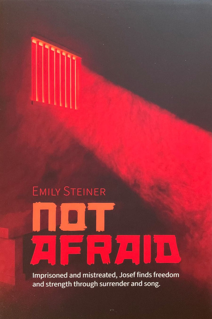 Book cover of 'Not Afraid' by Emily Steiner with red and black design.