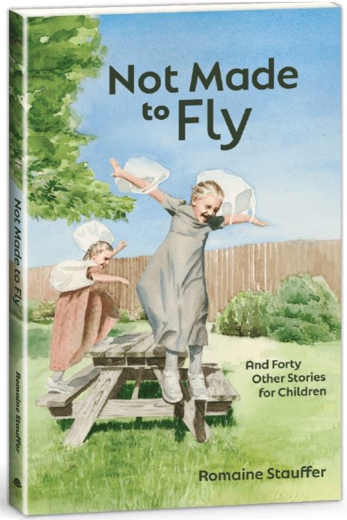 Front cover of Not Made to Fly by Romaine Stauffer.