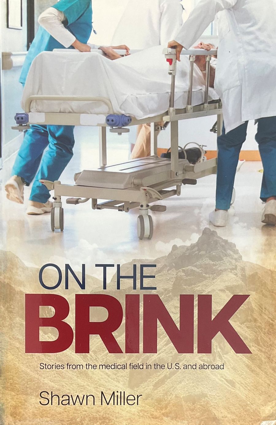 Front cover of On The Brink by Shawn Miller