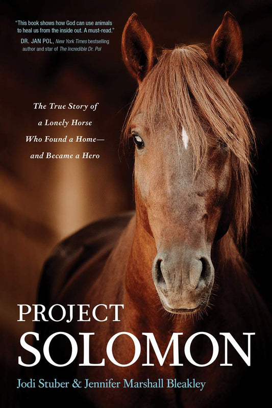 Front cover of Project Solomon by Jodi Stuber and Jennifer Marshall Bleakley.