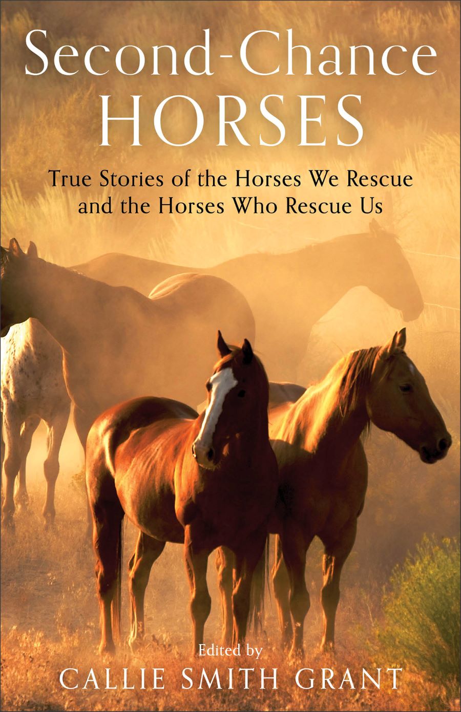 Front cover of Second-chance Horses by Callie Smith Grant.