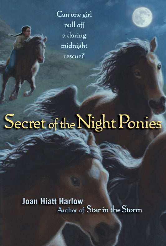 Front cover of Secret of the Night Ponies by Joan Hiatt Harlow.