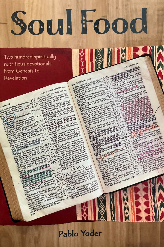 Book cover of 'Soul Food' with a Bible open to a page, on a wooden background.