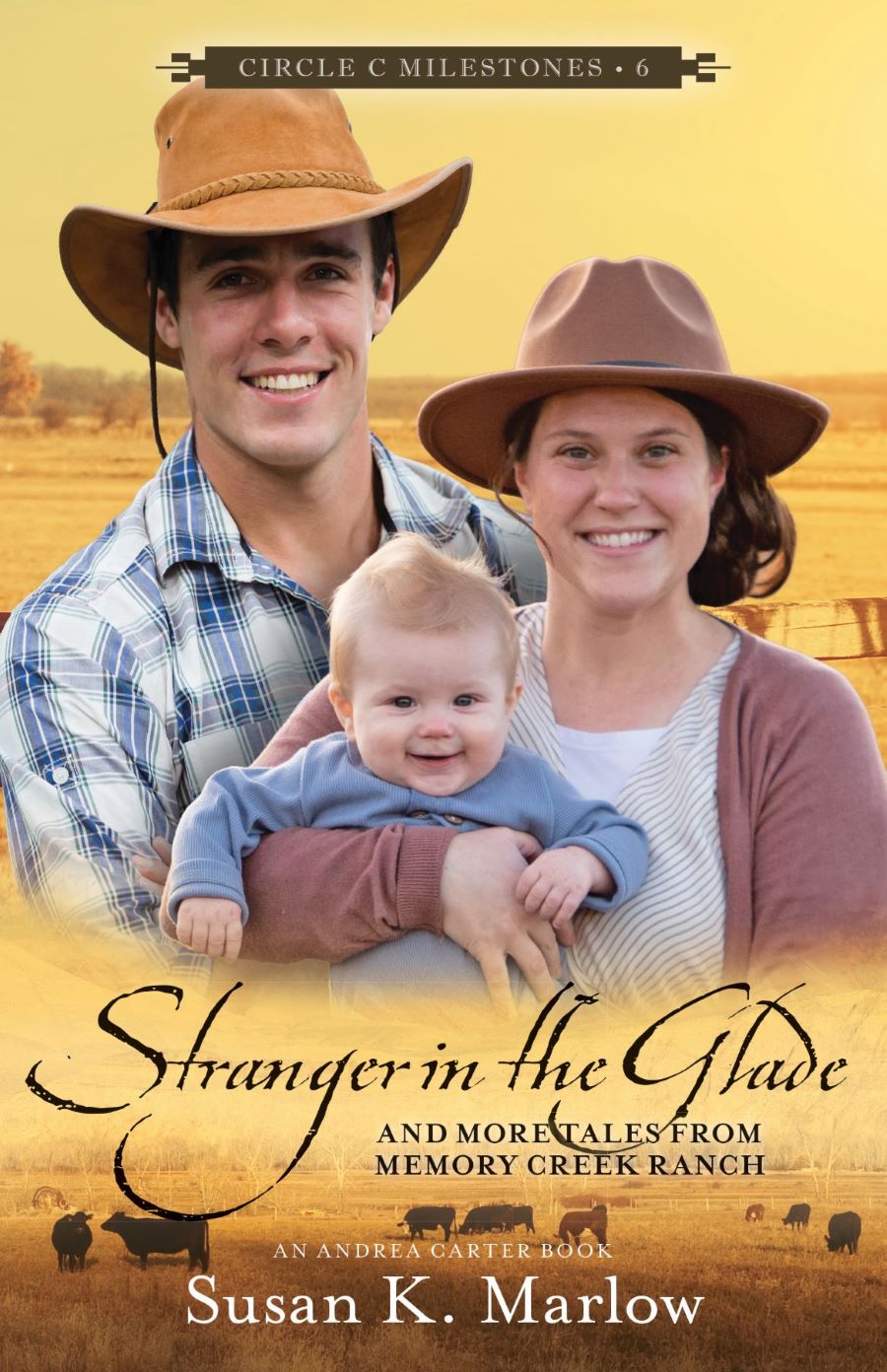 Front cover of Stranger in the Glade by Susan K. Marlow.
