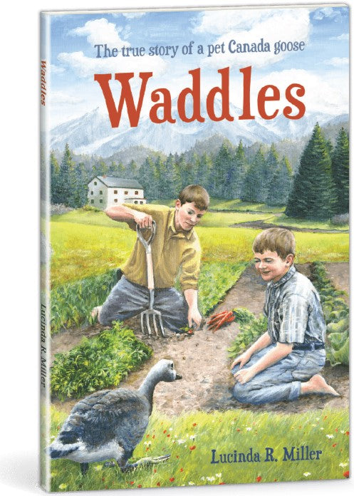 Front cover of Waddles by Lucinda R. Miller.
